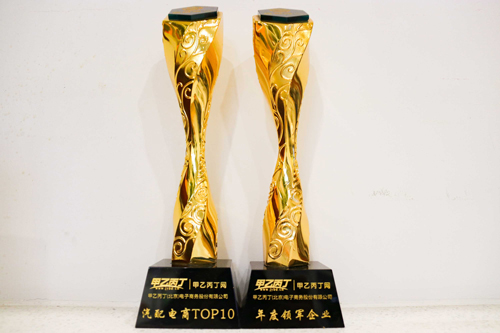 2019年荣获“金链奖”-汽配电商TOP10”&